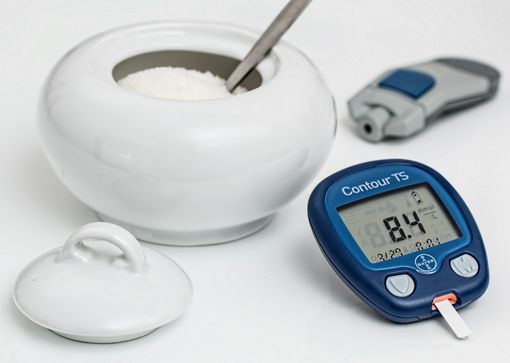 Diabetes Zucker