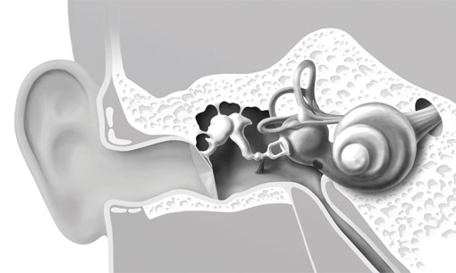 Aufbau ohr Tinnitus