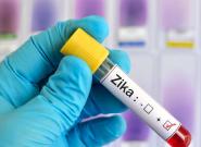 Zika-Virus und Schwerhörigkeit: Wie ist 