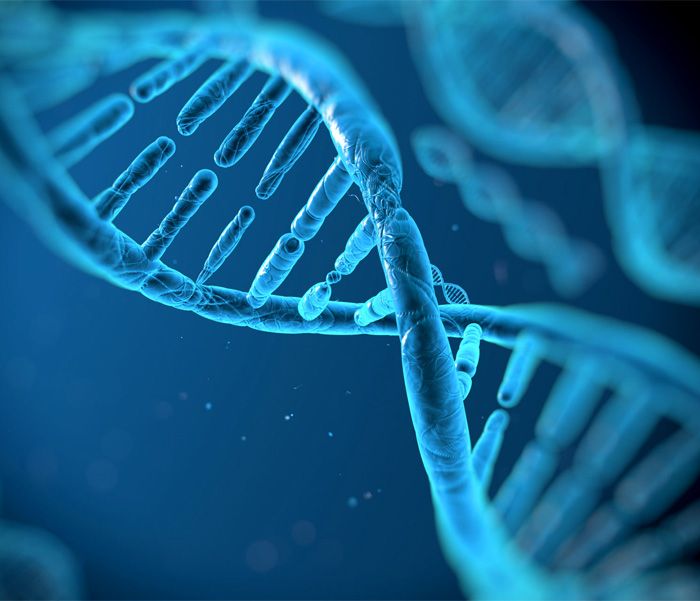 Genetik DNA