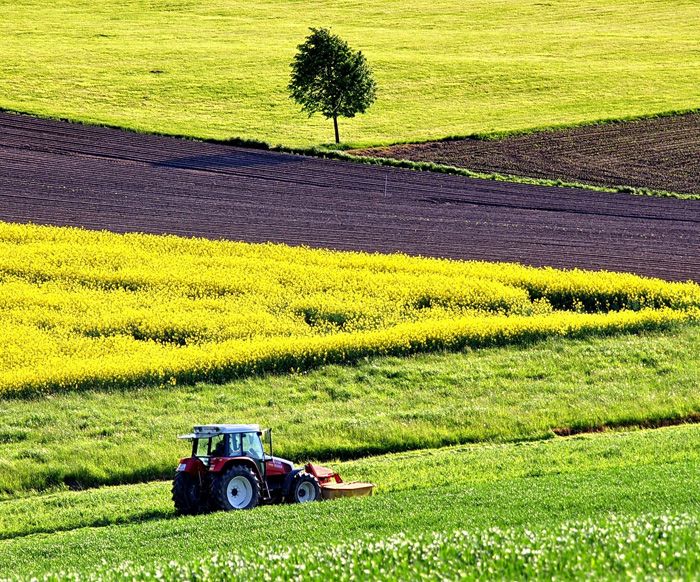 Landwirtschaft