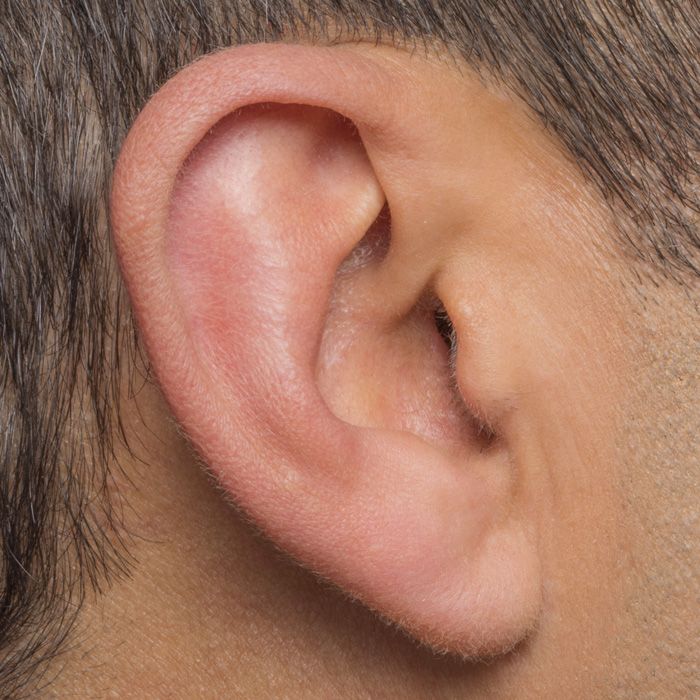Ohr Gehörschäden