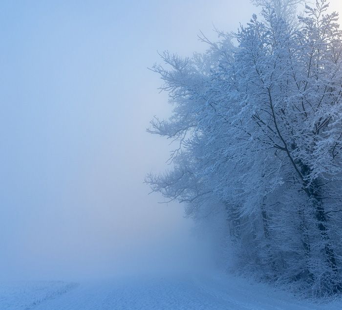 Winter Schneegestöber