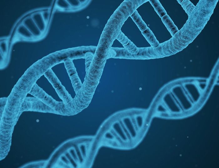 DNA Genetik
