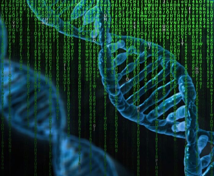DNA Wissen Informationen