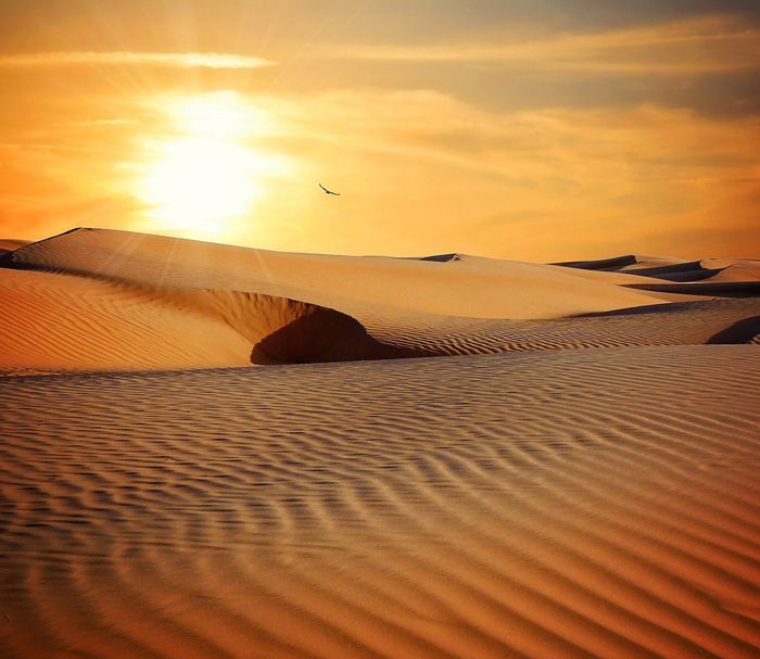 Sand Hitze Wüste